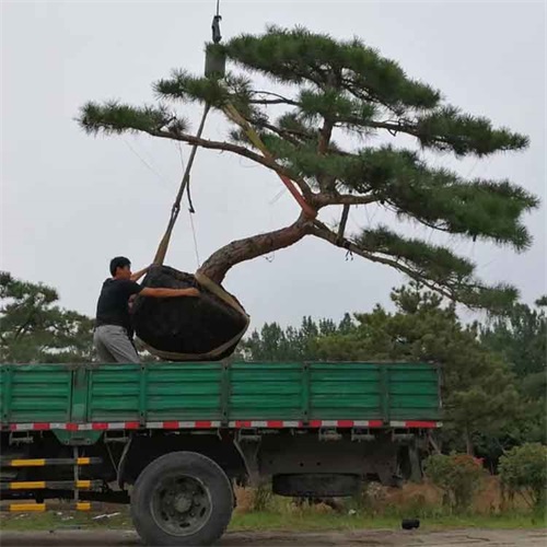 裝車現(xiàn)場(chǎng)